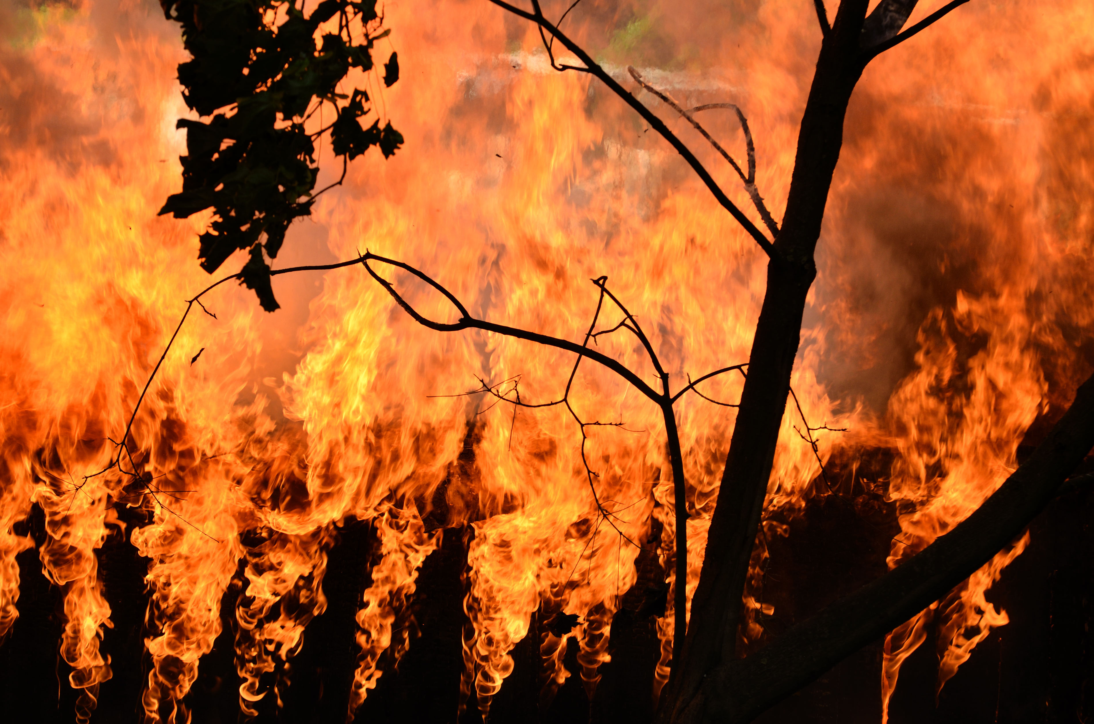 Predicting Future Flames | Critical Infrastructure Resilience Institute